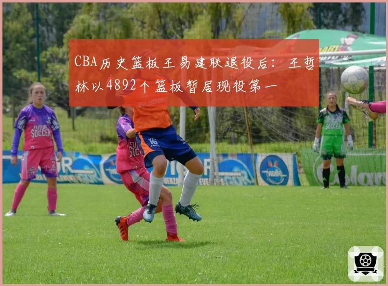 CBA历史篮板王易建联退役后：王哲林以4892个篮板暂居现役第一